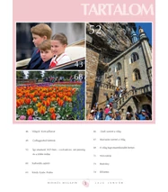 Ridikül Magazin, 2026. január