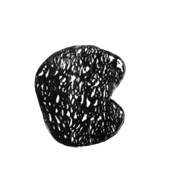 Egy cékla metszete, fekete-fehér fotó – művészeti nyomat