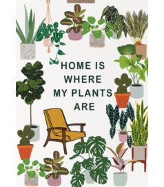 Illusztráció - Otthon és növény
