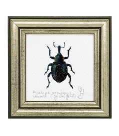 Acsalapu ormányos - keretezett giclée művészi mininyomat