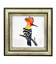 Búbosbanka - keretezett giclée művészi mininyomat