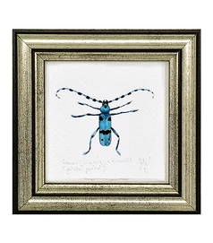 Havasi cincér - keretezett giclée művészi mininyomat