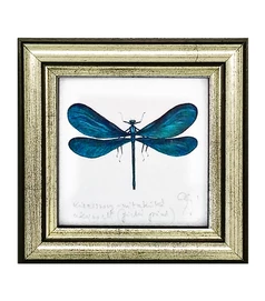 Kisasszony-szitakötő - keretezett giclée művészi mininyomat