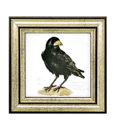 Vetési varjú - keretezett giclée művészi mininyomat