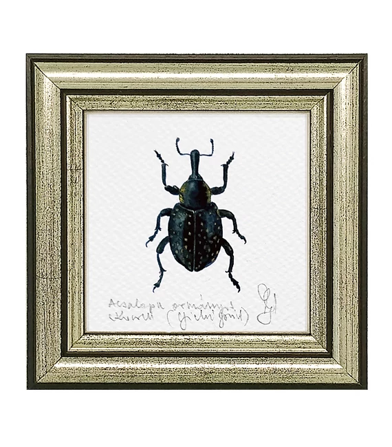 Acsalapu ormányos - keretezett giclée művészi mininyomat