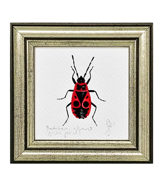 Bodobács - keretezett giclée művészi mininyomat