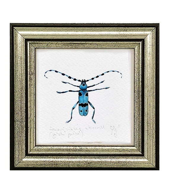 Havasi cincér - keretezett giclée művészi mininyomat