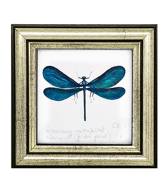 Kisasszony-szitakötő - keretezett giclée művészi mininyomat