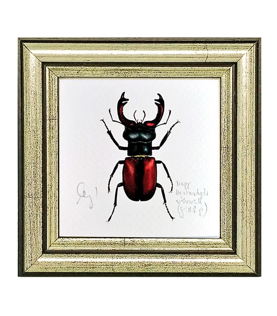 Nagy szarvasbogár - keretezett giclée művészi mininyomat