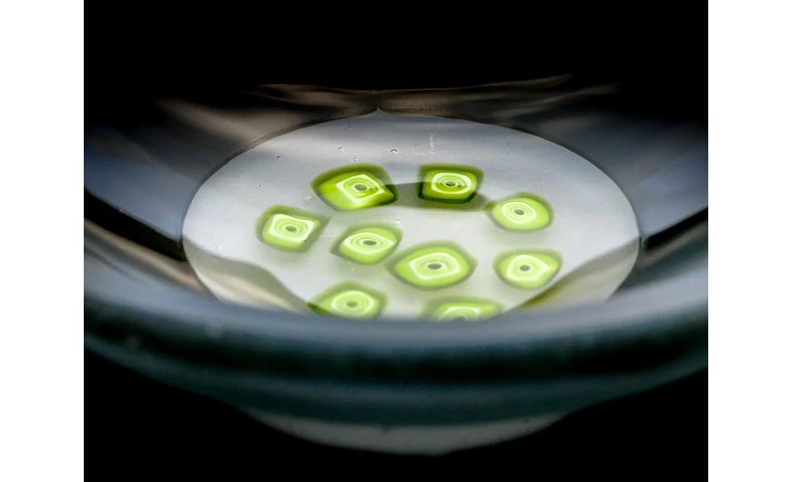 A művész, aki bíborban született